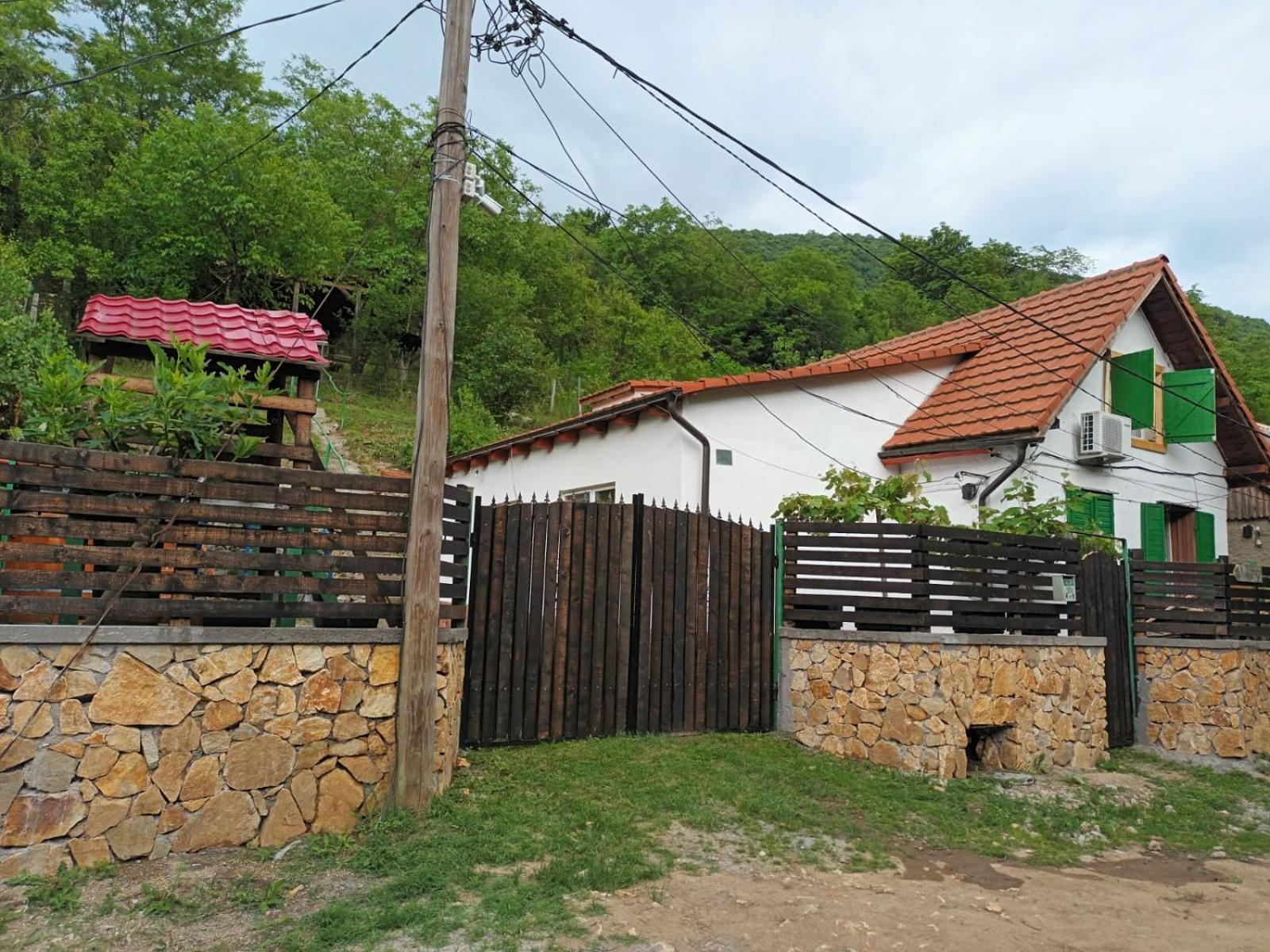 Andrei Villa Sasca Montana Bagian luar foto